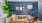 a living room with a couch and a plant